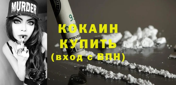 гашик Белоозёрский
