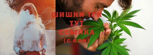 гашик Белоозёрский