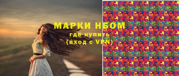 spice Белокуриха