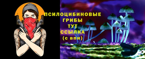 мдма Беломорск
