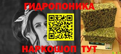 spice Тара