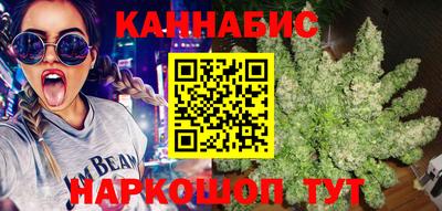 spice Тара