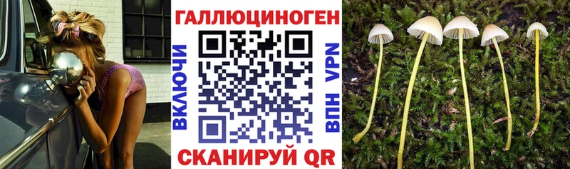 Галлюциногенные грибы мицелий  где продают наркотики  Пятигорск 
