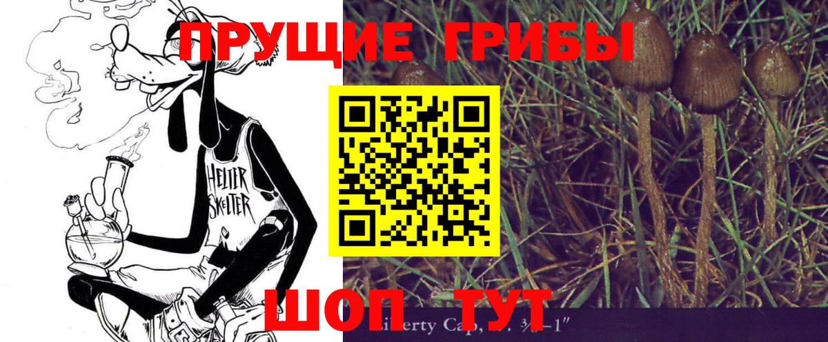 Галлюциногенные грибы Magic Shrooms Пятигорск
